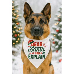 Christmas Dog Bandana – Festive Pet Scarf in 9 Holiday Designs | Small, Large & XL Sizes | Durable, Washable, Southern-Style Hol